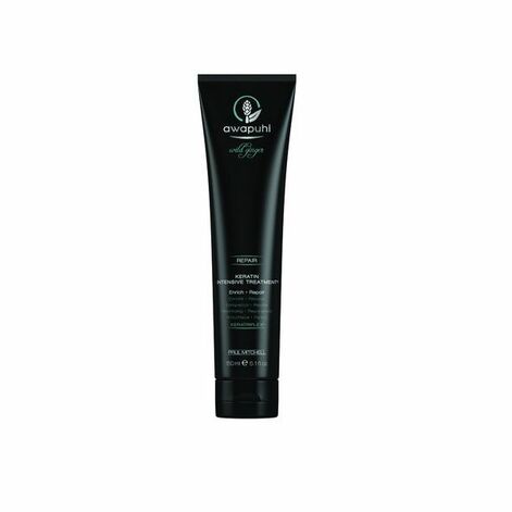 Paul Mitchell Wild Ginger Repair Intensive Treatment